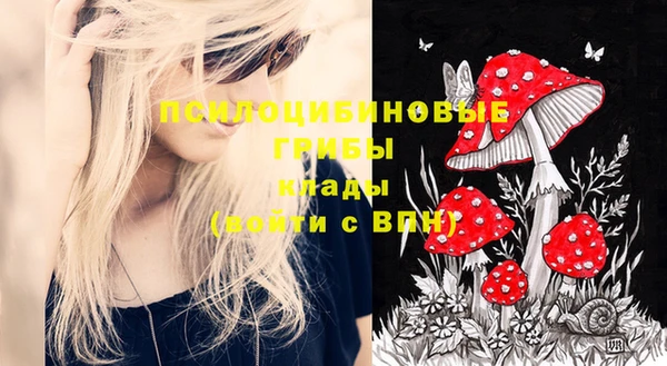кокс Алзамай