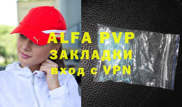 стафф Алексин