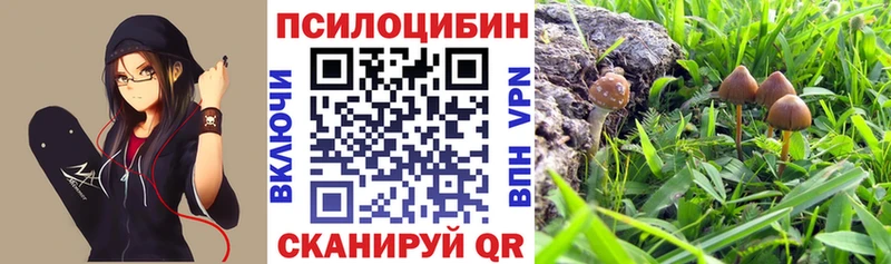Галлюциногенные грибы мицелий Поронайск